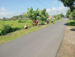 JELANG PEMBUKAAN TMMD REGULER KE – 119, WARGA GEDONGAN PLUPUH PASANG UMBUL -UMBUL JELANG PEMBUKAAN TMMD REGULER KE – 119, WARGA GEDONGAN PLUPUH PASANG UMBUL -UMBUL