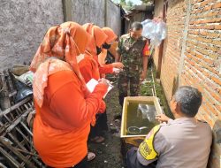 Tekan Penyebaran DBD, Babinsa Dampingi PSN Tekan Penyebaran DBD, Babinsa Dampingi PSN