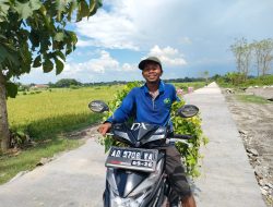 PENCARI RUMPUT INI KAGET JALAN BERUBAH JADI HALUS MULUS