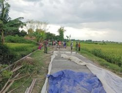Pengecoran Jalan TMMD Terkendala Curah Hujan Tinggi Pengecoran Jalan TMMD Terkendala Curah Hujan Tinggi