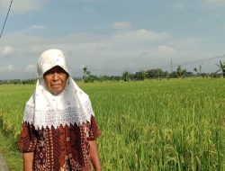 Bantu Petani, Satgas TMMD Reguler ke-119 Mempermudah Angkut Hasil Panen Bantu Petani, Satgas TMMD Reguler ke-119 Mempermudah Angkut Hasil Panen