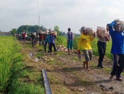 Begini Tips Bergotong Royong Agar Pekerjaan yang Berat Menjadi Ringan Begini Tips Bergotong Royong Agar Pekerjaan yang Berat Menjadi Ringan
