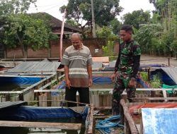 Ditengah kesibukan menjalankan satgas TMMD Sragen, Prajurit satgas belajar kepada sang maestro Budidaya ikan Lele Ditengah kesibukan menjalankan satgas TMMD Sragen, Prajurit satgas belajar kepada sang maestro Budidaya ikan Lele