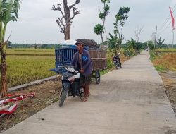 PETERNAK BEBEK LUAR KOTA PUN KETIBAN BERKAH TMMD PETERNAK BEBEK LUAR KOTA PUN KETIBAN BERKAH TMMD