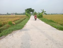 JALAN HALUS SEGERA DINIKMATI WARGA GEDONGAN JALAN HALUS SEGERA DINIKMATI WARGA GEDONGAN