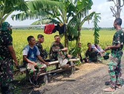 PRAJURIT MELAWAK,HIBUR TEMAN-TEMANNYA PRAJURIT MELAWAK,HIBUR TEMAN-TEMANNYA