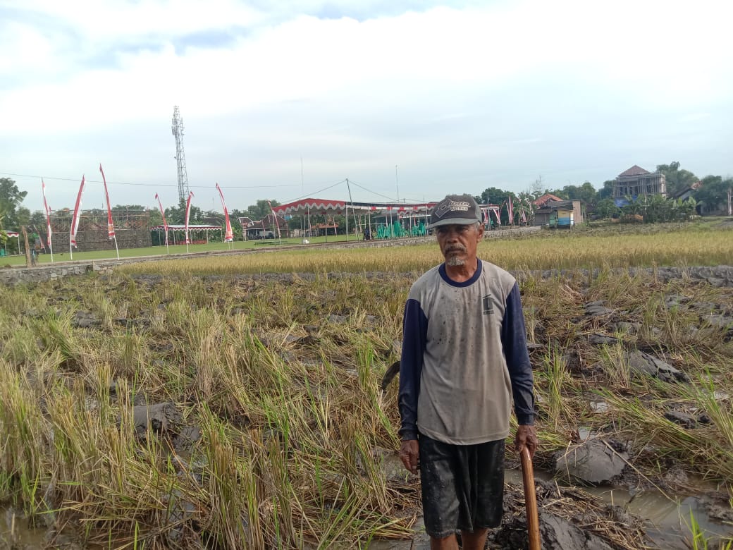 Beruntung sekali Pemilik sawah samping lapangan (dapat talud dan cor jalan)