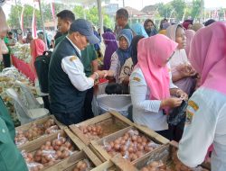 Ratusan warga serbu Pasar murah penutupan TMMD