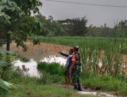 Aliran Sungai Bengawan Solo Meluap, Serda Yasin Pantau Wilayah