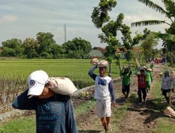 Guna meringankan pekerjaan, Satgas TMMD Reguler ke -119 Kodim 0725/Sragen, menggunakan Sak semen langsir batu koral Guna meringankan pekerjaan, Satgas TMMD Reguler ke -119 Kodim 0725/Sragen, menggunakan Sak semen langsir batu koral