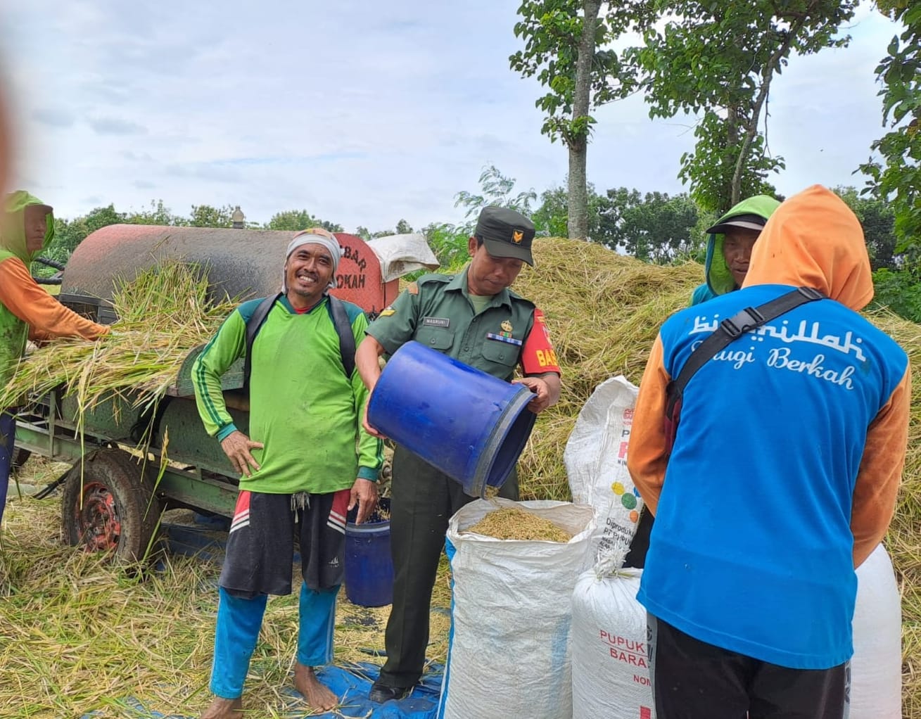 Puasa Tidak Menyurutkan Niat Babinsa Bantu Petani Panen Padi