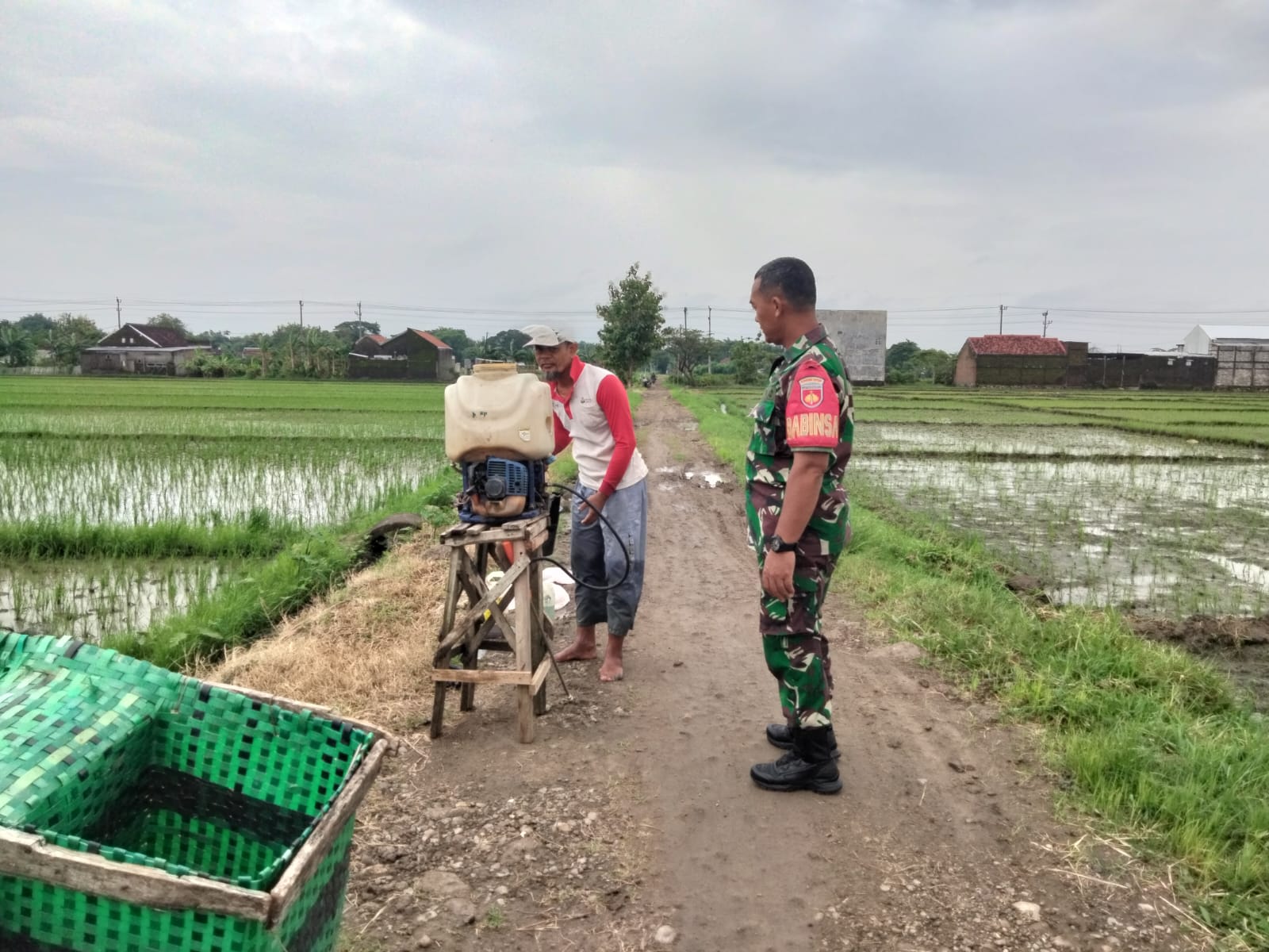 Kendalikan Hama Ulat, Babinsa Dampingi Penyemprotan Tanaman Padi   Hama ulat dianggap hama yang berbahaya karena dapat mengakibatkan menurunnya produksi padi sekaligus menurunkan kualitas gabah. Untuk itu Serma Surasno Babinsa Desa Pilangsari Koramil 07/Ngrampal Kodim 0725/Sragen melaksanakan pendampingan penyemprotan hama di persawahan milik Bp. Joko Purnomo Dk. Tawengan Rt 23 Ds. Pilangsari Kec. Ngrampal,Kamis ( 14/03/2024 ) Menurut Surasno, Penyemprot insektisida pada tanaman padi ini sebagai upaya mengantisipasi datangnya hama yang lain lagi sehingga para petani tidak mengalami gagal panen.  “Agar terlindungi dari hama, sehingga dapat tumbuh dengan baik. Dengan begitu akan menghasilkan panen yang sesuai dengan harapan para petani,” kata Rasno sapaan akrabnya. Rasno menambahkan, Penyemprotan pada tanaman padi harus dilakukan dengan tepat dan benar agar hasil produksi bisa maksimal. Dosis menyemprot tanaman padi juga harus sesuai dengan arahan dari PPL setempat. Pestisida yang digunakan harus sesuai dosis penyemprotan yang tepat karena memiliki peran yang sangat penting dalam keberhasilan padi disaat panen nantinya “Adapun waktu yang tepat melakukan penyemprotan tanaman padi adalah pada mulut daun terbuka yaitu pagi hari hingga jam 09.00 dan sore hari mulai dari jam 15.30 hingga jam 17.00, tutupnya. Sementara itu, Joko mengucapkan terima kasih kepada Babinsa yang selalu hadir di kampung tersebut, untuk memberikan motivasi kepada petani khususnya petani padi.  “Semoga apa yang kami upayakan selama ini, ditambah adanya dukungan dari bapak Babinsa, saat panen nanti hasilnya bisa memuaskan,” harapnya.