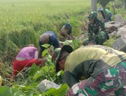 CUACA CERAH ANGGOTA SATGAS TMMD DAN WARGA KEBUT PEKERJAAN TALUD CUACA CERAH ANGGOTA SATGAS TMMD DAN WARGA KEBUT PEKERJAAN TALUD