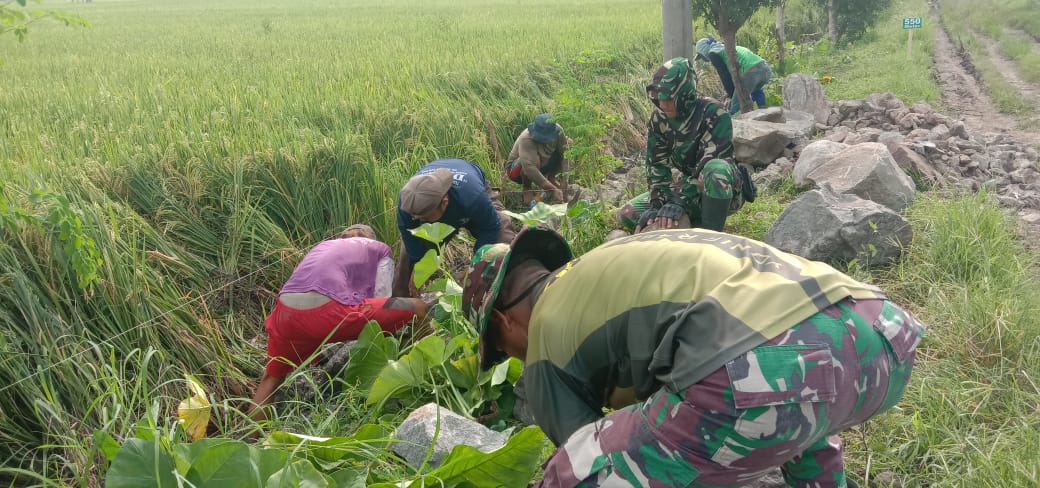 CUACA CERAH ANGGOTA SATGAS TMMD DAN WARGA KEBUT PEKERJAAN TALUD
