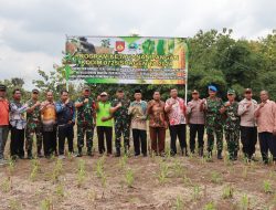 Tim Wasev Mabes TNI tinjau Kebun jagung Kodim Sragen Tim Wasev Mabes TNI tinjau Kebun jagung Kodim Sragen