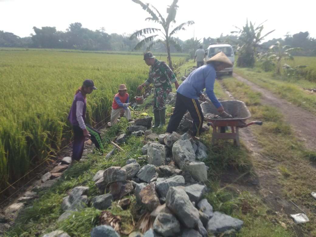 Dukung Petani, Babinsa Bantu Bangun Talud Jalan Pertanian