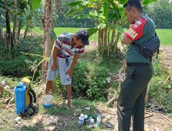 Komsos Dengan Petani, Babinsa Imbau Tingkatkan Kualitas Padi
