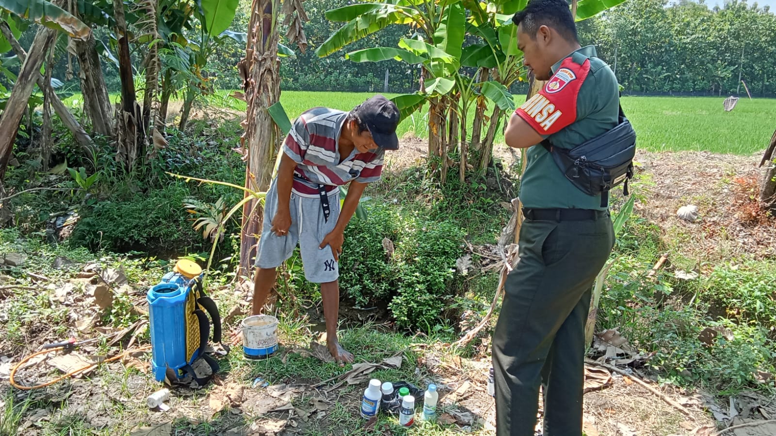 Komsos Dengan Petani, Babinsa Imbau Tingkatkan Kualitas Padi