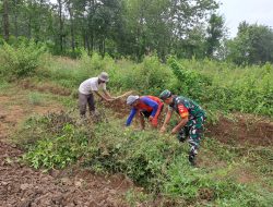 Bersama Warga, Babinsa Kerja Bakti Pembersihan Rumput Liar