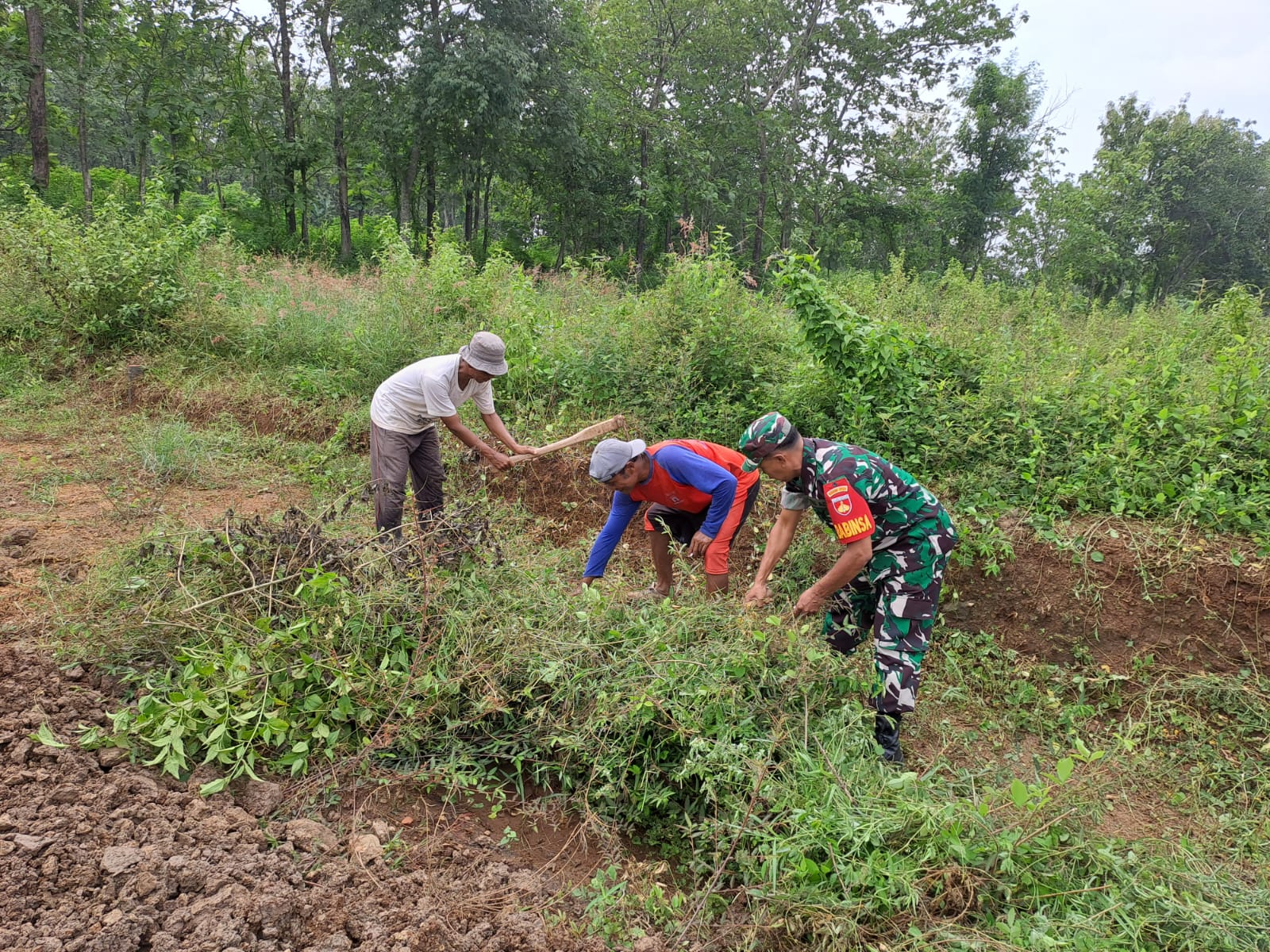 Bersama Warga, Babinsa Kerja Bakti Pembersihan Rumput Liar
