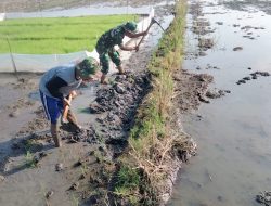 Babinsa Bantu Pembuatan Pematang Sawah Demi Suksesnya Bercocok Tanam