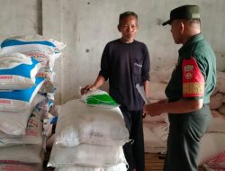Guna Penuhi Kebutuhan Petani Babinsa Turun Lapangan Cek Ketersediaan Pupuk Bersubsidi