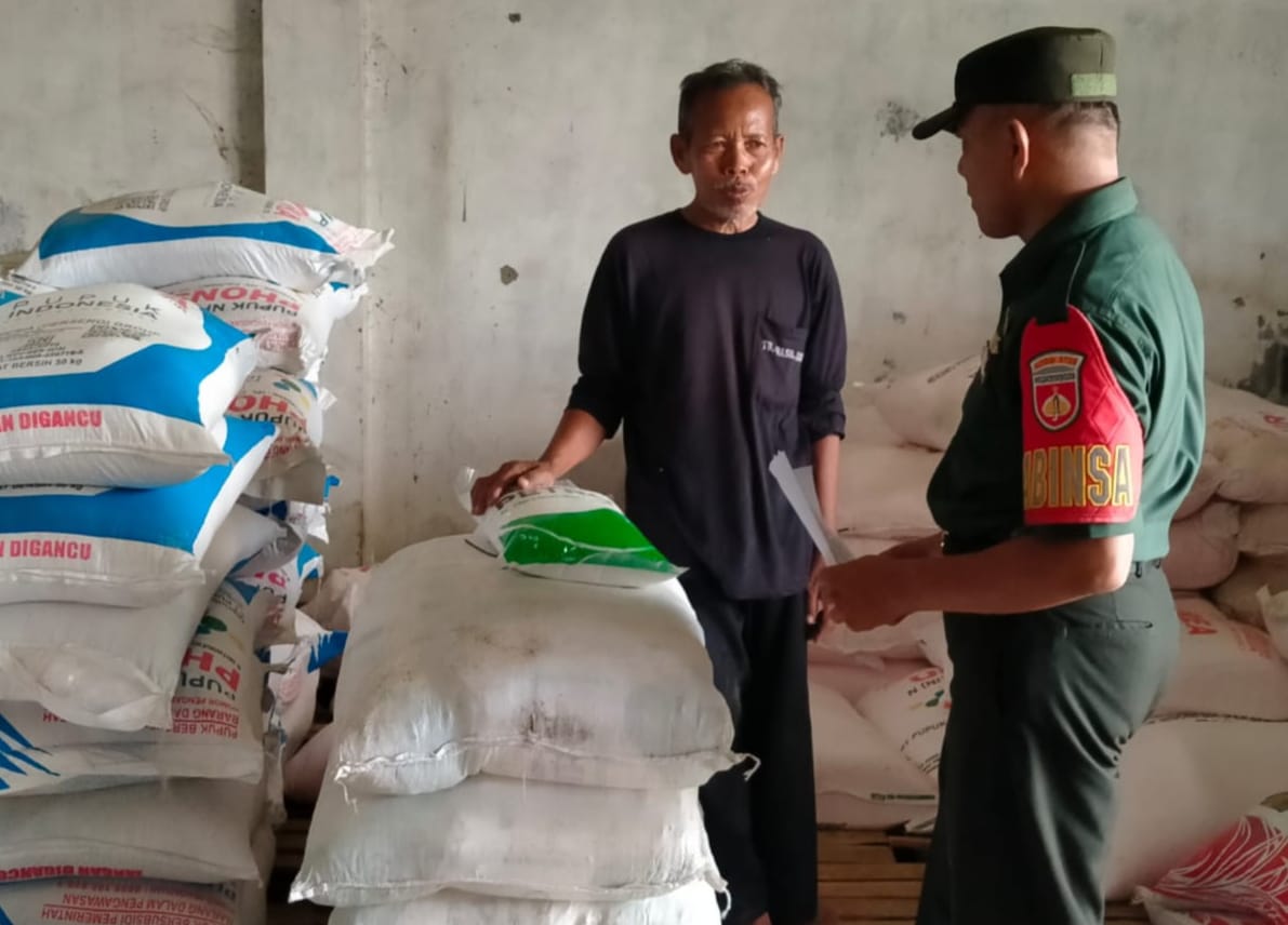 Guna Penuhi Kebutuhan Petani Babinsa Turun Lapangan Cek Ketersediaan Pupuk Bersubsidi