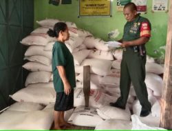 Antisipasi Penyimpangan Pupuk Bersubsidi, Babinsa Sidak Toko dan Agen