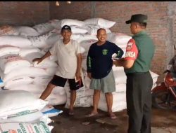 Pengecekan Pupuk Secara Intensif Selalu di Laksanakan Babinsa Gilirejo