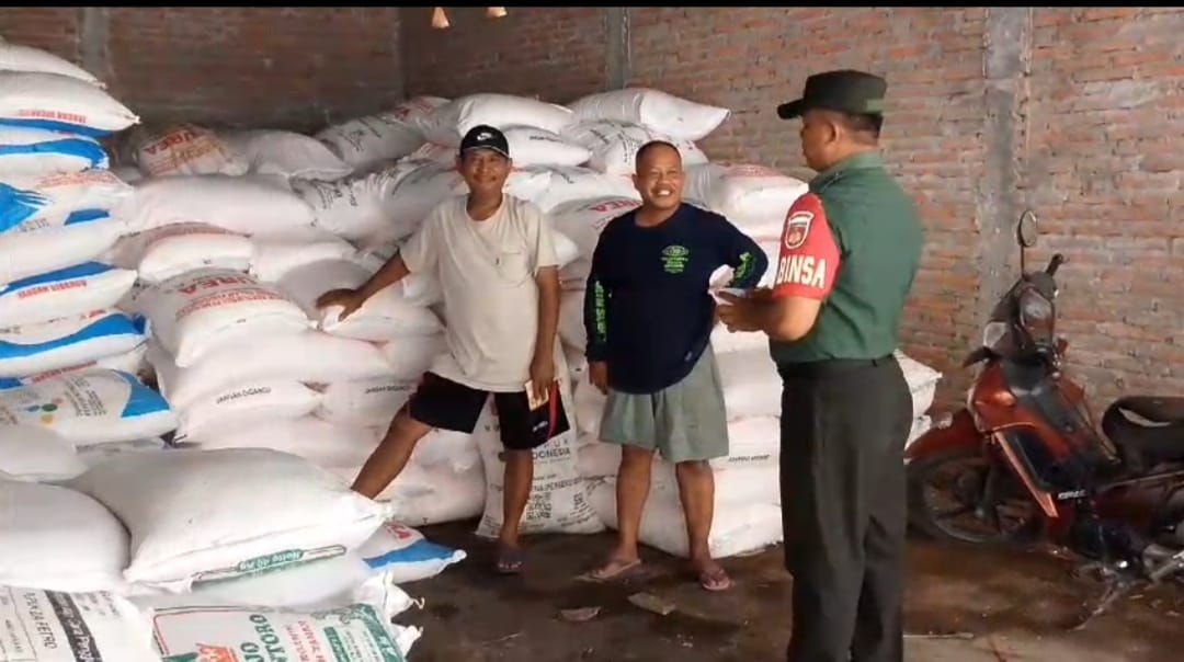Pengecekan Pupuk Secara Intensif Selalu di Laksanakan Babinsa Gilirejo