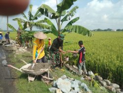 Bangun Talud, Aktifkan Saluran Irigasi Desa