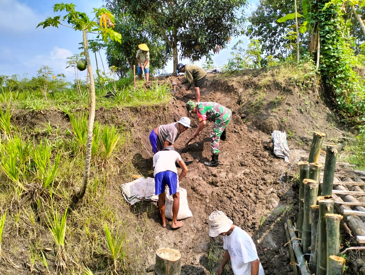 Antisipasi Terjadinya Banjir Babinsa bersama Warga Kompak Perbaiki Tanggul Sungai
