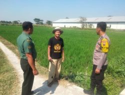 Babinsa Temui Petani Padi, Ini Motivasi Yang Diberikan