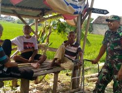 Terlibat Obrolan Santai Babinsa Bahas Peningkatan Swasembada Pangan