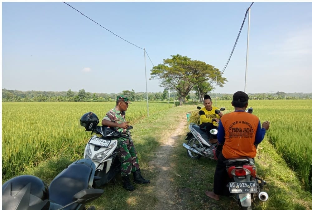 Tidak Mandang Tempat, Babinsa Datangi Petani di Arel Persawahan