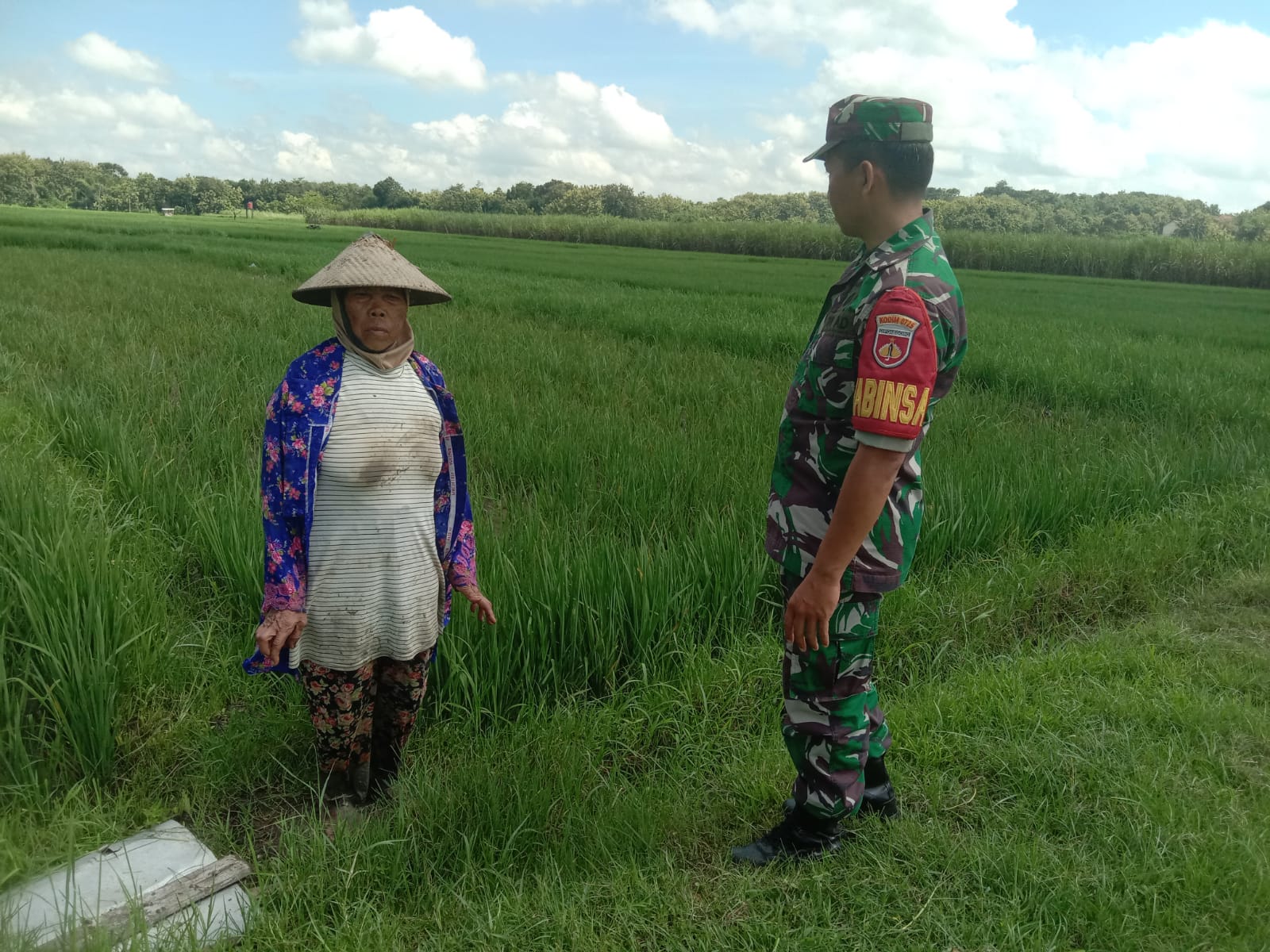 Ingin Mengetahui Keluhan, Babinsa Temui Petani