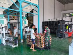 Inilah Peran Babinsa dalam Pemantauan Stok Beras di Bulog