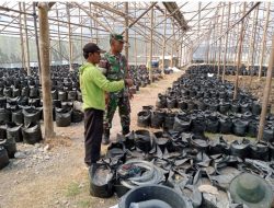 Komsos Babinsa dengan Petani Melon Guna Mendukung dan Memajukan Sektor Pertanian