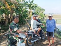 Komsos Babinsa dan Petani di Pinggir Sawah Guna Mendengarkan Keluhan dan Aspirasi Warga