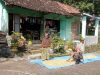 Sinergi Babinsa dan Petani dalam Jemur Padi