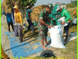 Kehadiran Babinsa Bantu Meningkatkan Hasil Panen Petani