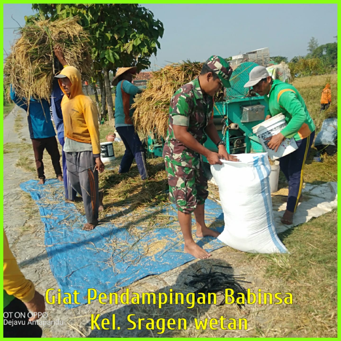 Kehadiran Babinsa Bantu Meningkatkan Hasil Panen Petani