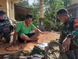 Kunjungan Babinsa ke Gapoktan, Guna Mendukung Program – Program Pertanian