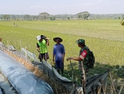 Salah Tugas Utama Babinsa Bisa Mendekatkan Diri Dengan Semua Lini Masyarakat Termasuk Petani
