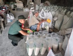 Supriyanto Pastikan Stok Beras Aman di Penggilingan Padi