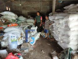 Guna Meningkatkan Produktivitas Pertanian Babinsa Melakukan Pemantauan Pupuk Bersubsidi