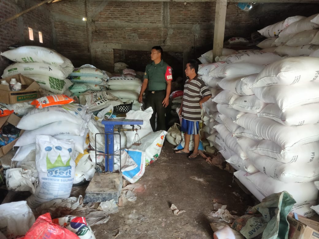 Guna Meningkatkan Produktivitas Pertanian Babinsa Melakukan Pemantauan Pupuk Bersubsidi