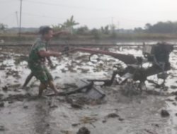 Babinsa Bantu Petani Bajak Sawah