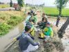 Babinsa dan Petani: Menjalin Kemitraan untuk Ketahanan Pangan Nasional