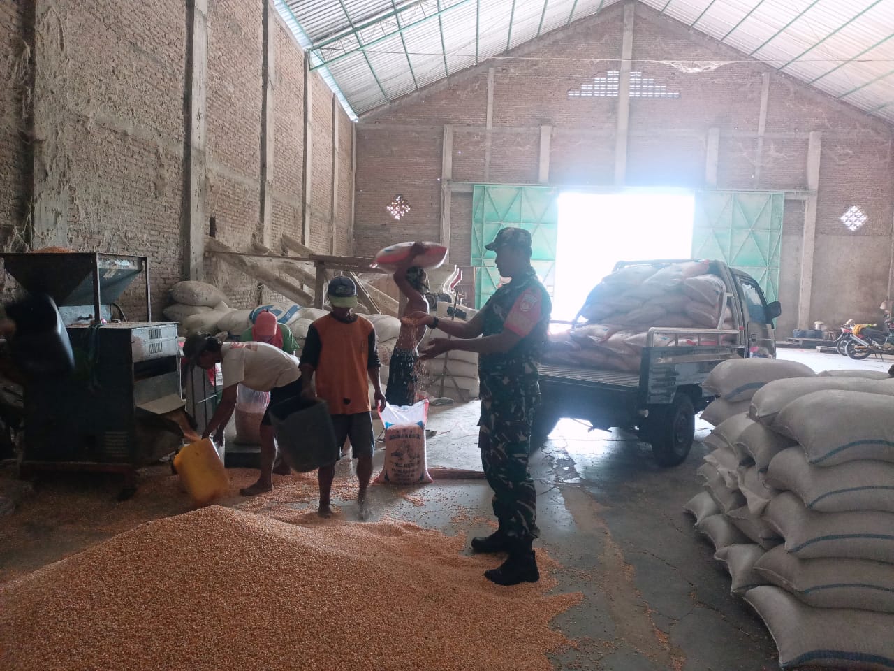 Jaga ketahanan Pangan, Babisa Cek Gudang Jagung